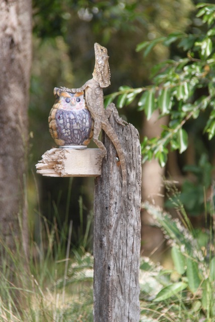 Jude thought I made a handsome addition to her mosaic owl