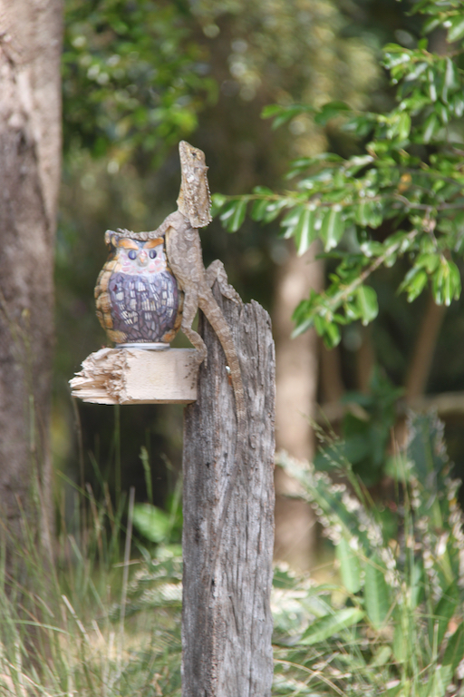 BA 45 Marcus Creek January 2014