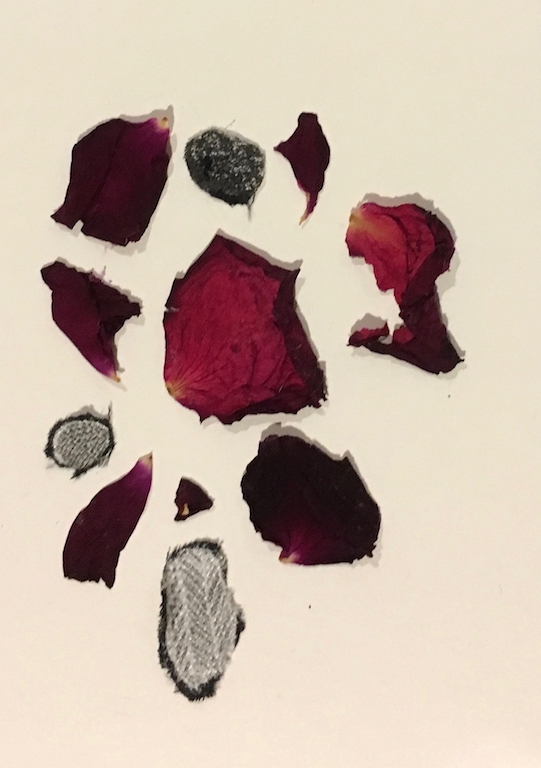 Rose petals and silk