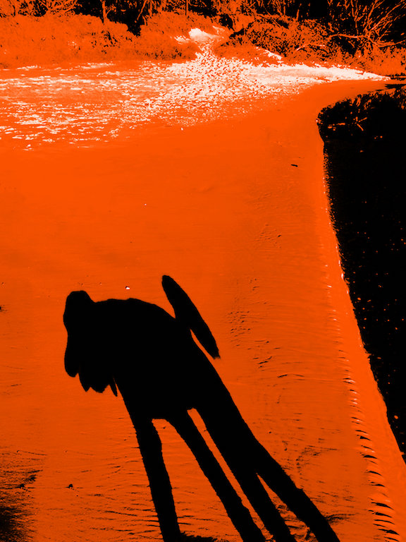 Jimmy Shadow Marcus Creek