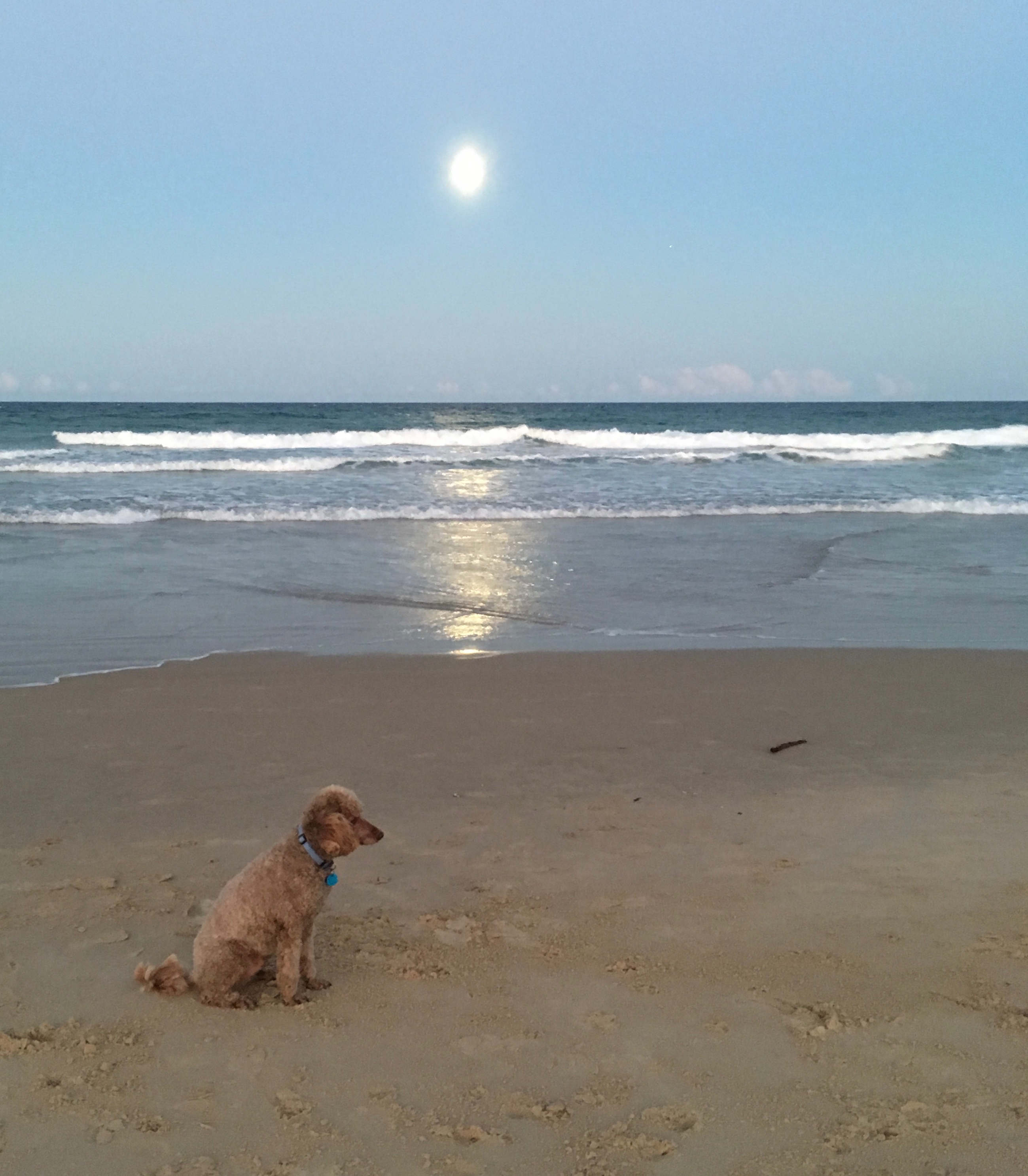 Jimmy and the day moon