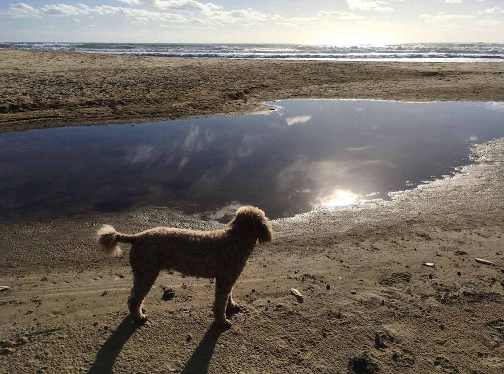 Jimmy at Marcus Creek