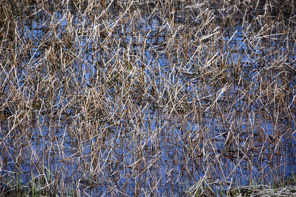 Friday Photo Fatally&nbsp;Flawed