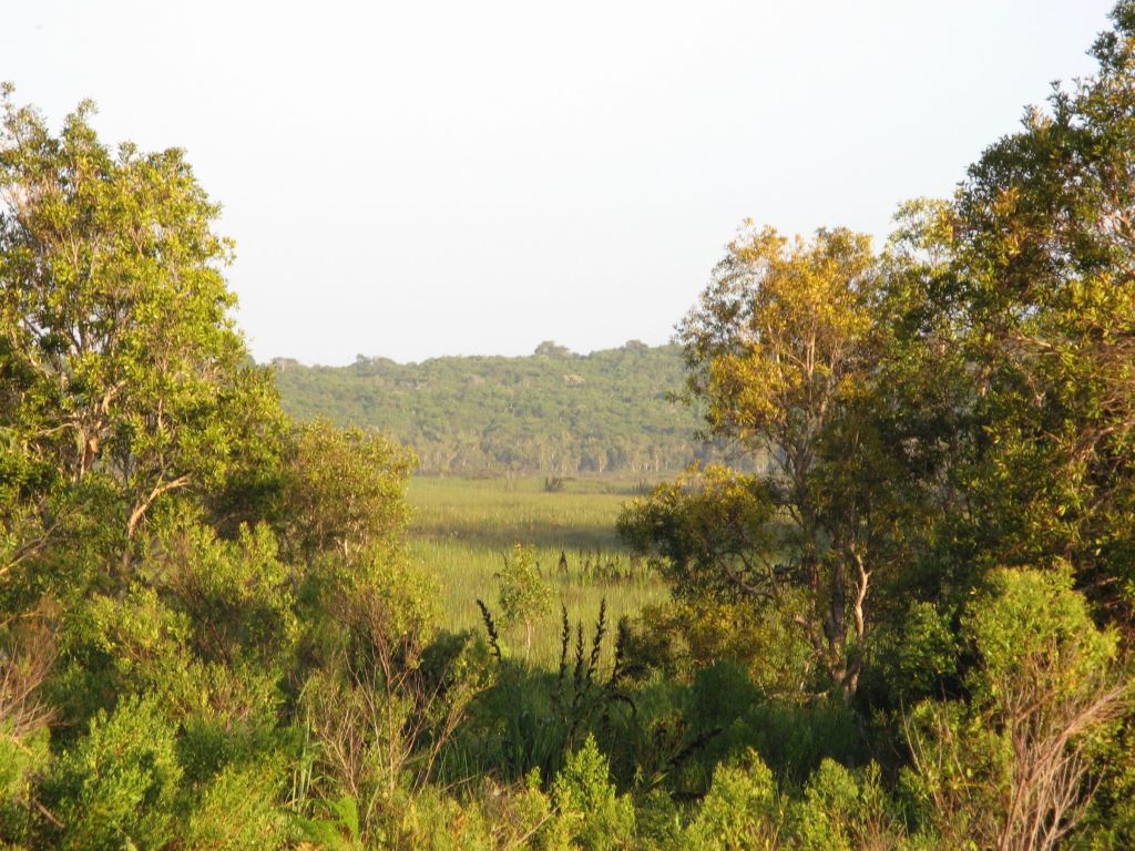House with a&nbsp;View