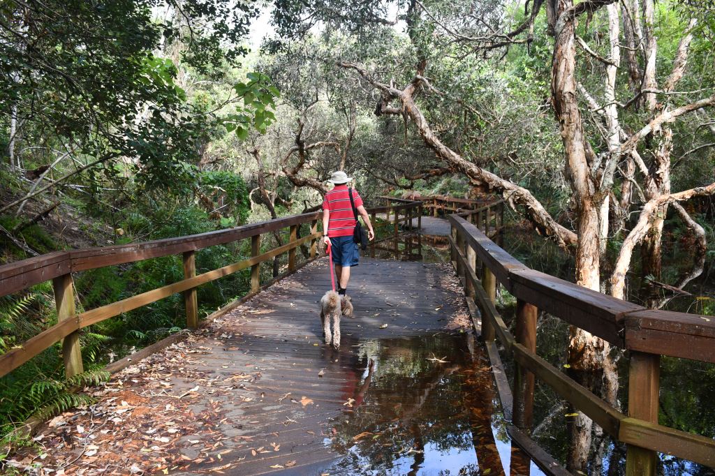 The rain floods our dog walking&nbsp;path