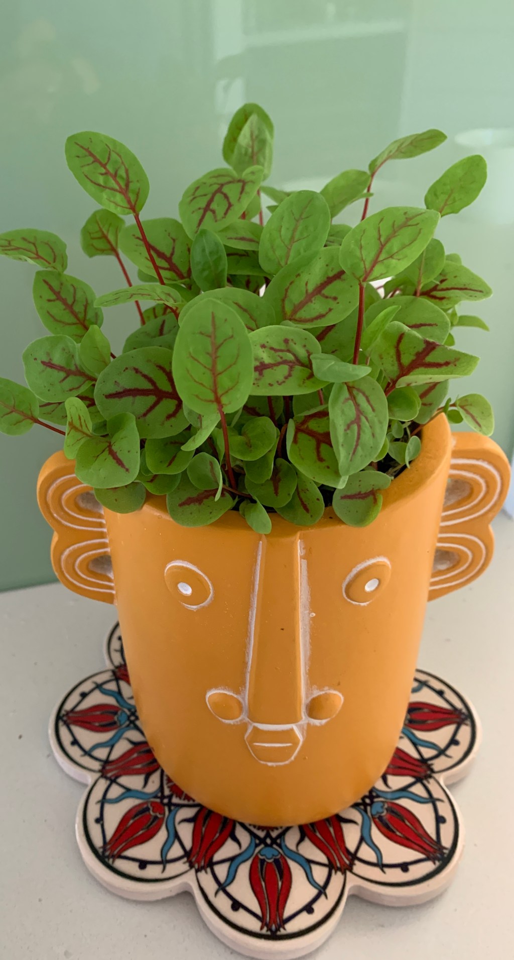 Quirky Herb Planter