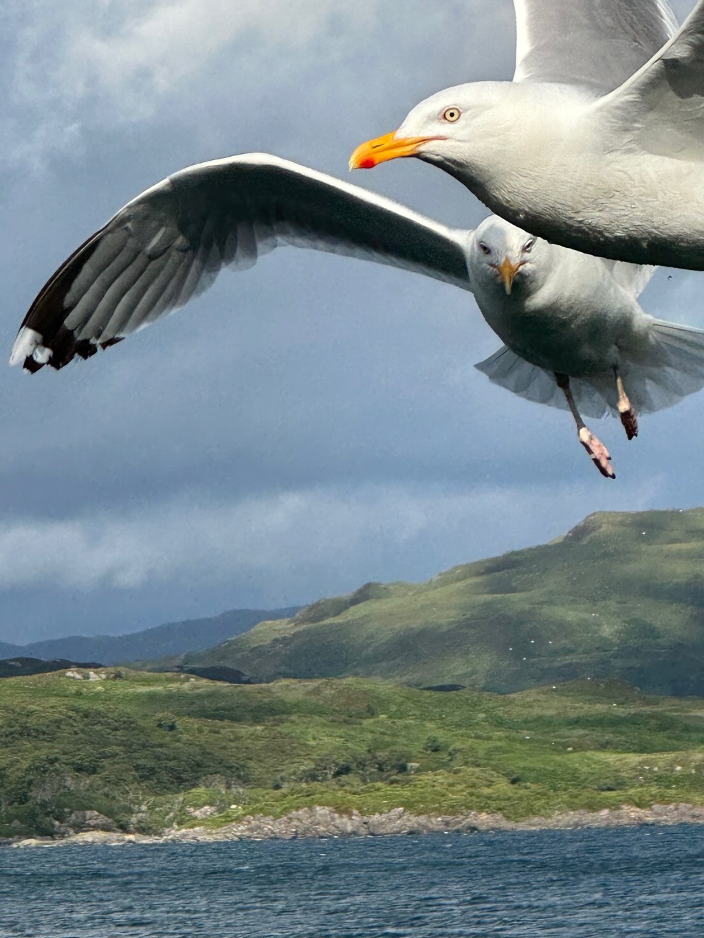 ⁨Loch na Droma Buidhe⁩ Inner&nbsp;Hebredes