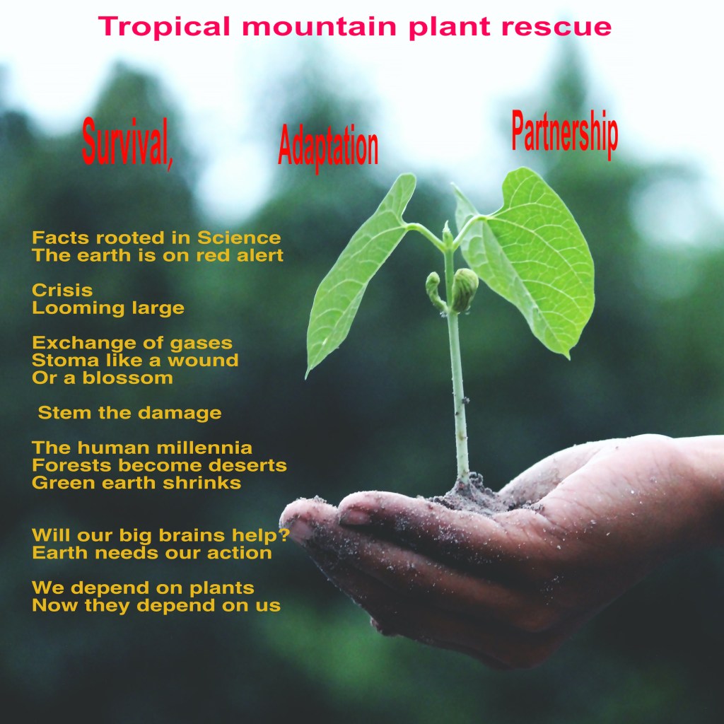 Displaced Flora Master Class: Artistic Responses to Climate&nbsp;Change